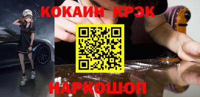 спайс Кингисепп