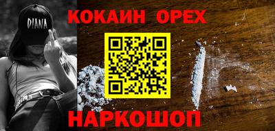 спайс Кингисепп