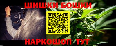 спайс Кингисепп