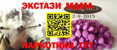 спайс Кингисепп