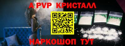 спайс Кингисепп