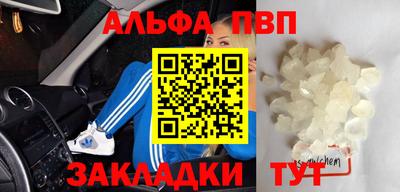 спайс Кингисепп