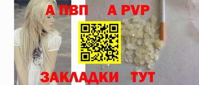 спайс Кингисепп