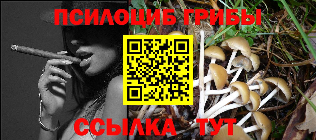 Галлюциногенные грибы Magic Shrooms  Псилоцибиновые грибы мухоморы  Краснотурьинск  продажа наркотиков  Вход с VPN 